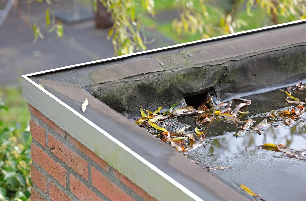 Drain Cleaning Repair commercial roof planning